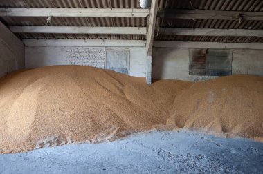 Eski terk edilmiş fabrika binası