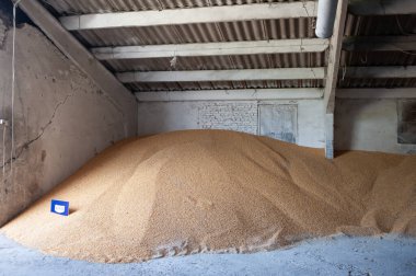 Evin kumlarında büyük bir metal borular yığını.