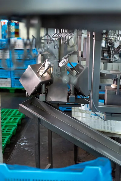 Fabryka Przemysłowa Taśma Transportowa Maszyna Produkcyjna Żywność Produkcja Sprzęt Przemysł — Zdjęcie stockowe