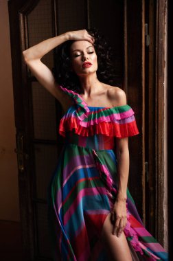 Güzel bir kadının portresi. 