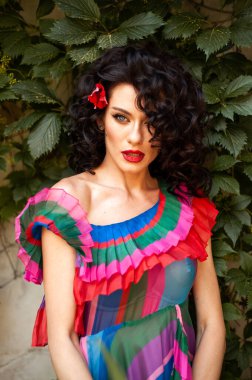 Meksika kıyafetleri içinde güzel bir kadın. 