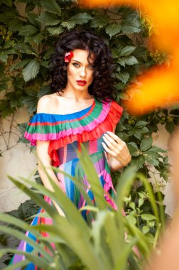 Parlak elbiseli güzel esmer kızın portresi. 