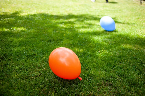 57,600+ Lawn Games Stock Photos, Pictures & Royalty-Free Images
