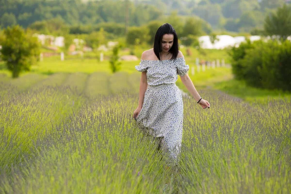Mädchen Weißem Kleid Geht Einem Lavendelfeld — Stockfoto