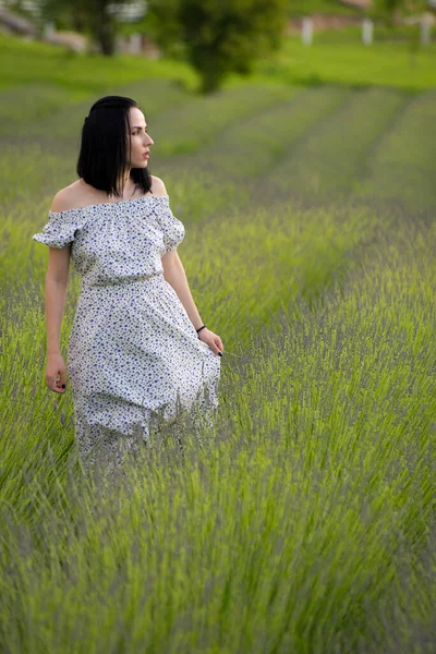 Junge Schöne Frau Posiert Den Lavendelfeldern — Stockfoto