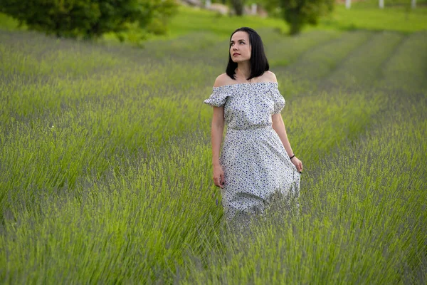 stock image beautiful young woman with long hair walking on the grass