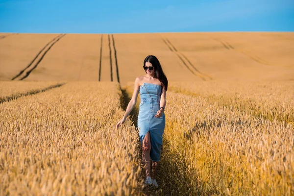 stock image beautiful young girl walks in a wheat field.