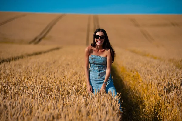 stock image young woman with long hair posing in a wheat field.