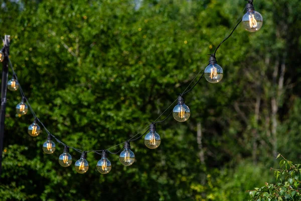 Belle Lampade Decorative Sull Albero Nel Parco — Foto Stock