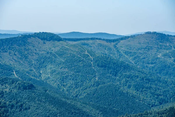 夏の山々を満たした森 — ストック写真