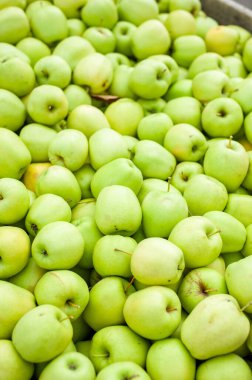 Piyasada yeşil elmalar