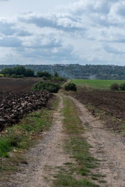 Kırsal alan, bir yol ve bulutlu bir gökyüzü. yüksek kaliteli fotoğraf