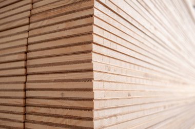 Ahşap dokular. Soyut arkaplan.