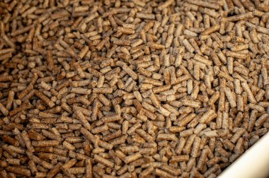 Kasede köpek maması, yakın görüş.