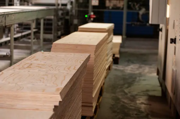 wood factory in the production of wood. wood production