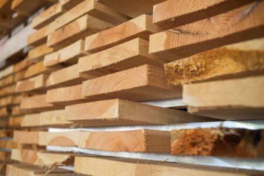 Bir yığın odun. Ahşap endüstrisi. Tahta kütüklerin hazırlanması ve işlenmesi. Modern teknoloji