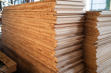 Bir yığın odun. Ahşap endüstrisi. Tahta kütüklerin hazırlanması ve işlenmesi. Modern teknoloji