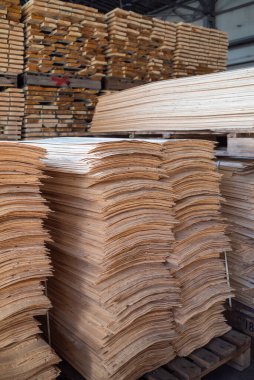 Bir yığın odun. Ahşap endüstrisi. Tahta kütüklerin hazırlanması ve işlenmesi. Modern teknoloji