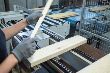 İşçi odun ve testere kesiyor