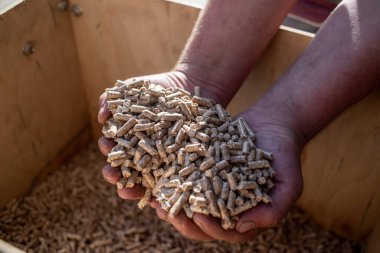 Bir sürü fıstıkla dolu tahta bir kutuyu tutan el.