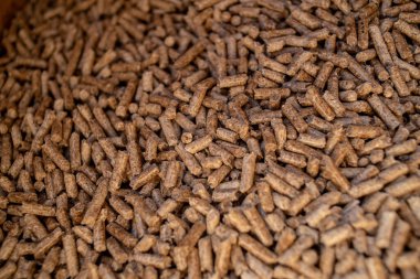 Köpekler için yiyecek ve içecek..