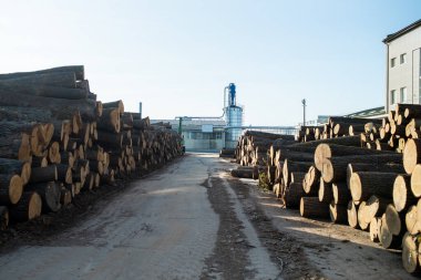 Ahşap endüstrisi. Ahşap kütüklerin hazırlanması ve işlenmesi