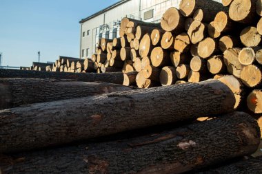 Ahşap endüstrisi. Ahşap kütüklerin hazırlanması ve işlenmesi