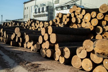Ahşap endüstrisi. Ahşap kütüklerin hazırlanması ve işlenmesi