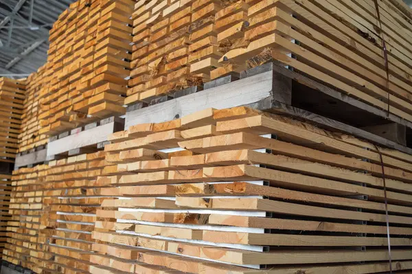 stack of wood. Woodworking industry. Preparation and processing of wooden logs. Modern technology