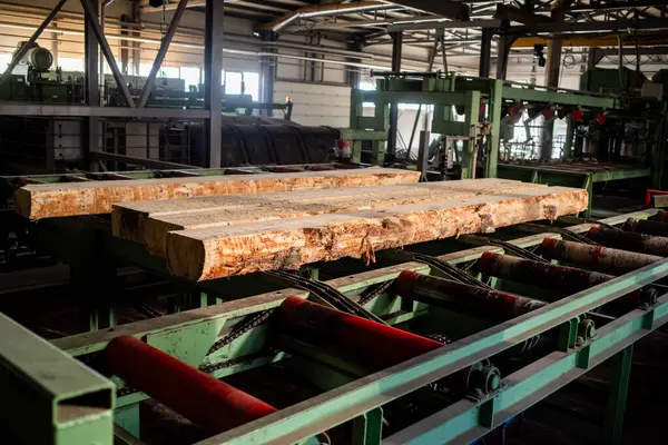 stack of wood. Woodworking industry. Preparation and processing of wooden logs. Modern technology