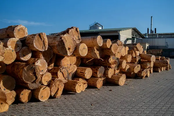 Woodworking industry technology. Wood logs/
