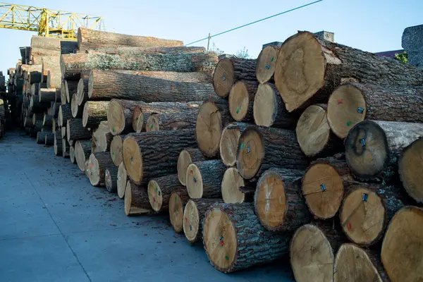 Woodworking industry. Preparation and processing of wooden logs