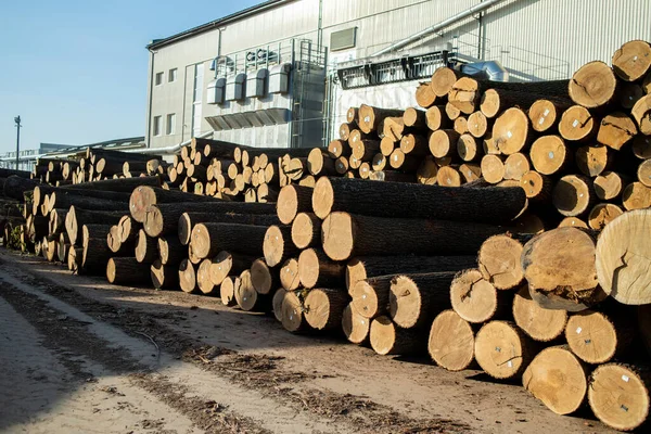 Woodworking industry. Preparation and processing of wooden logs