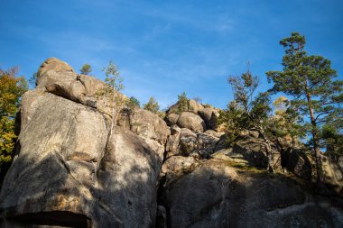 Dağlardaki kayalar. Mavi gökyüzü ve ağaçlar