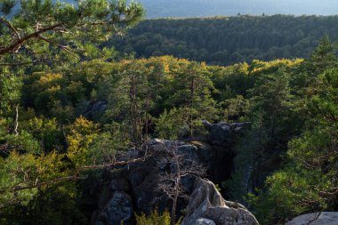 Dağlardaki kayalar. Mavi gökyüzü ve ağaçlar