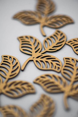 Beyaz arka planda noel ağacı dalları. Yeni yıl dekorasyon kavramı.