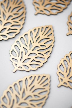 Beyaz arka planda bir ağaç kabuğunun yakın plan çekimi.