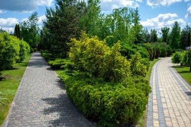 Parktaki manzara çok güzel.