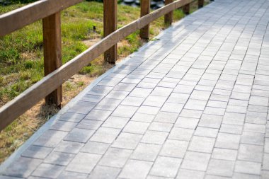 Parkta güzel ahşap geçitli yürüyüş yolu.