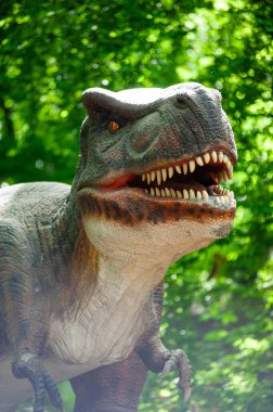 Beyaz bir ejderhanın yakın çekimi.