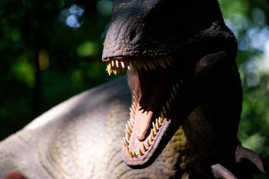 Siyah ve beyaz dinozor kafasını kapatın.