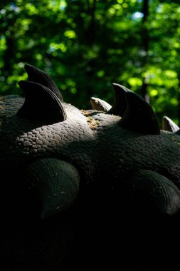 Güzel bir kuşun yakın çekimi.