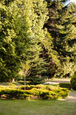 Şehrin en güzel parkı.