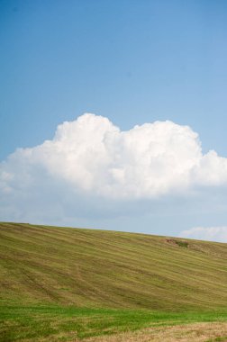 Yeşil tarlası ve mavi gökyüzü olan güzel bir manzara.
