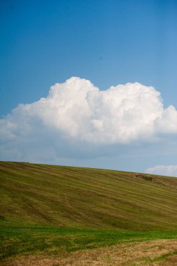 Yeşil çimen ve mavi gökyüzü olan güzel bir manzara.