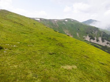 Yeşil otlar ve çayırlar ile güzel yaz dağları manzarası