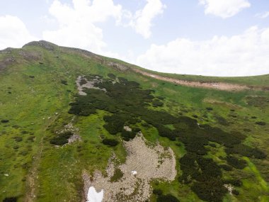 Karpatlar 'daki dağın havadan görünüşü