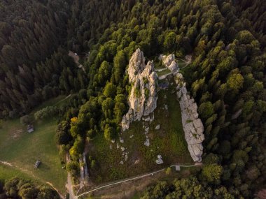 Ormanda nehri olan güzel bir manzara.