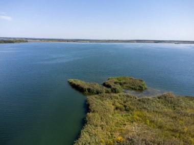 Yazın göl manzarası
