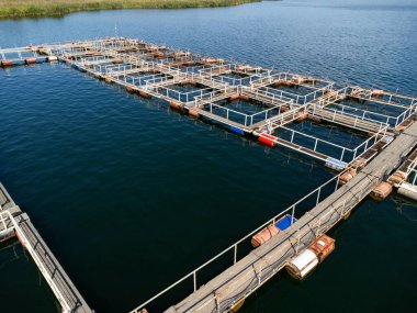 Sabahları nehrin havadan görünüşü.